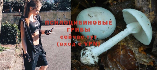 ECSTASY Покровск